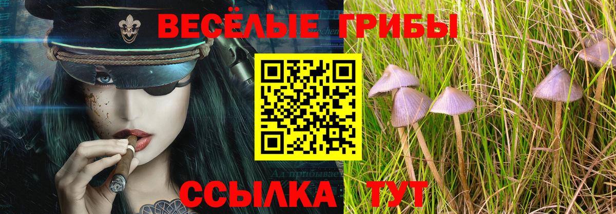 Псилоцибиновые грибы GOLDEN TEACHER Котлас