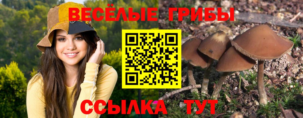 Котлас  Псилоцибиновые грибы MAGIC MUSHROOMS  Вход с VPN  Галлюциногенные грибы GOLDEN TEACHER 