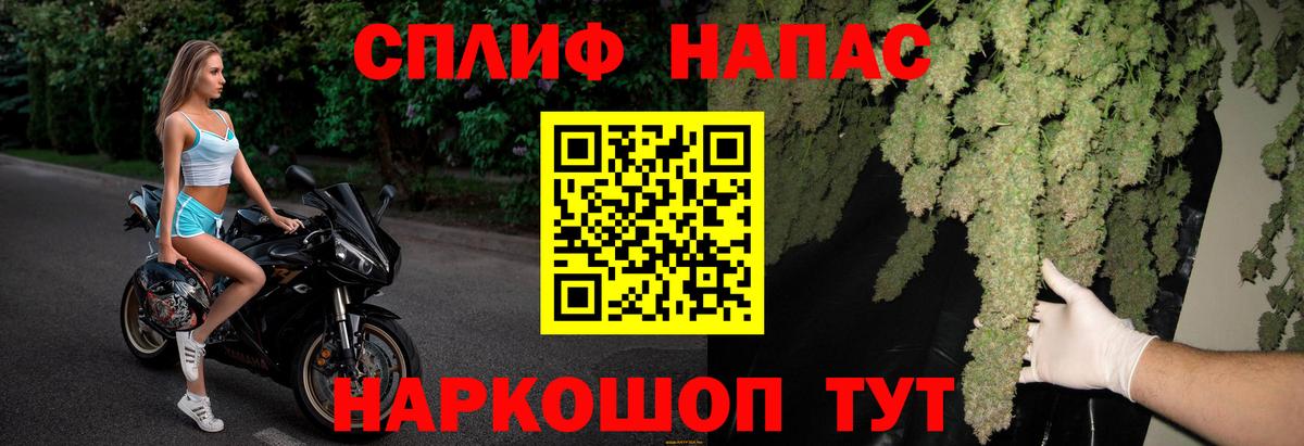 Канабис сатива Котлас